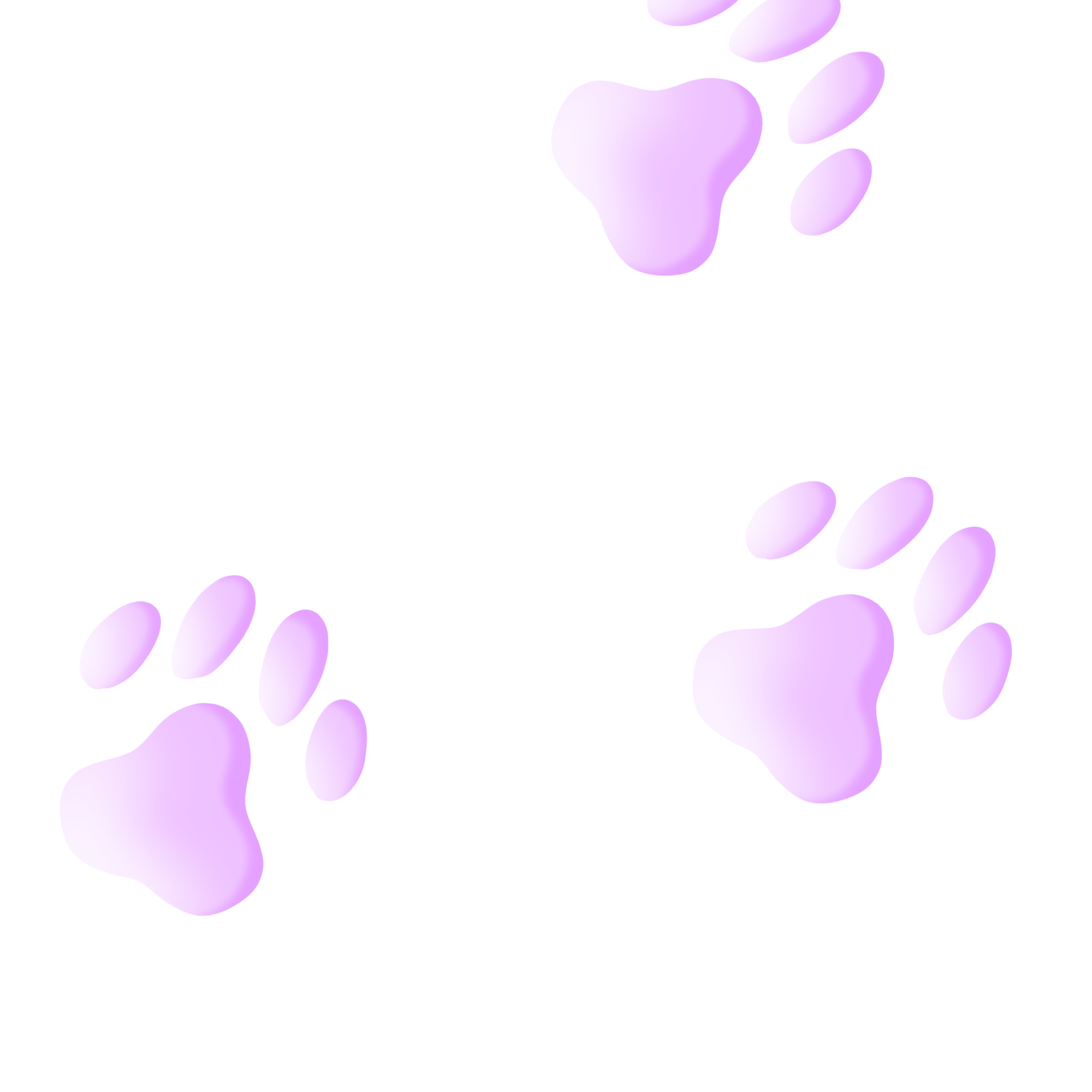 Paw print clearance brush