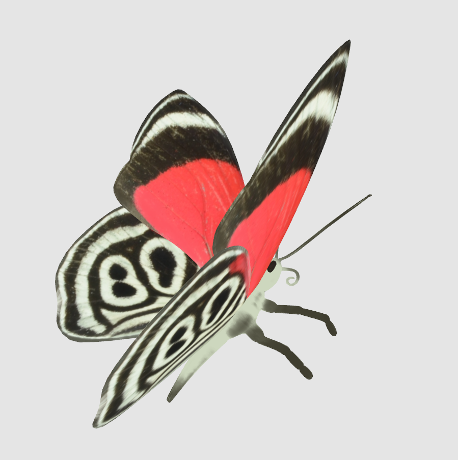 Watch Clip: 3D Drawing Butterfly