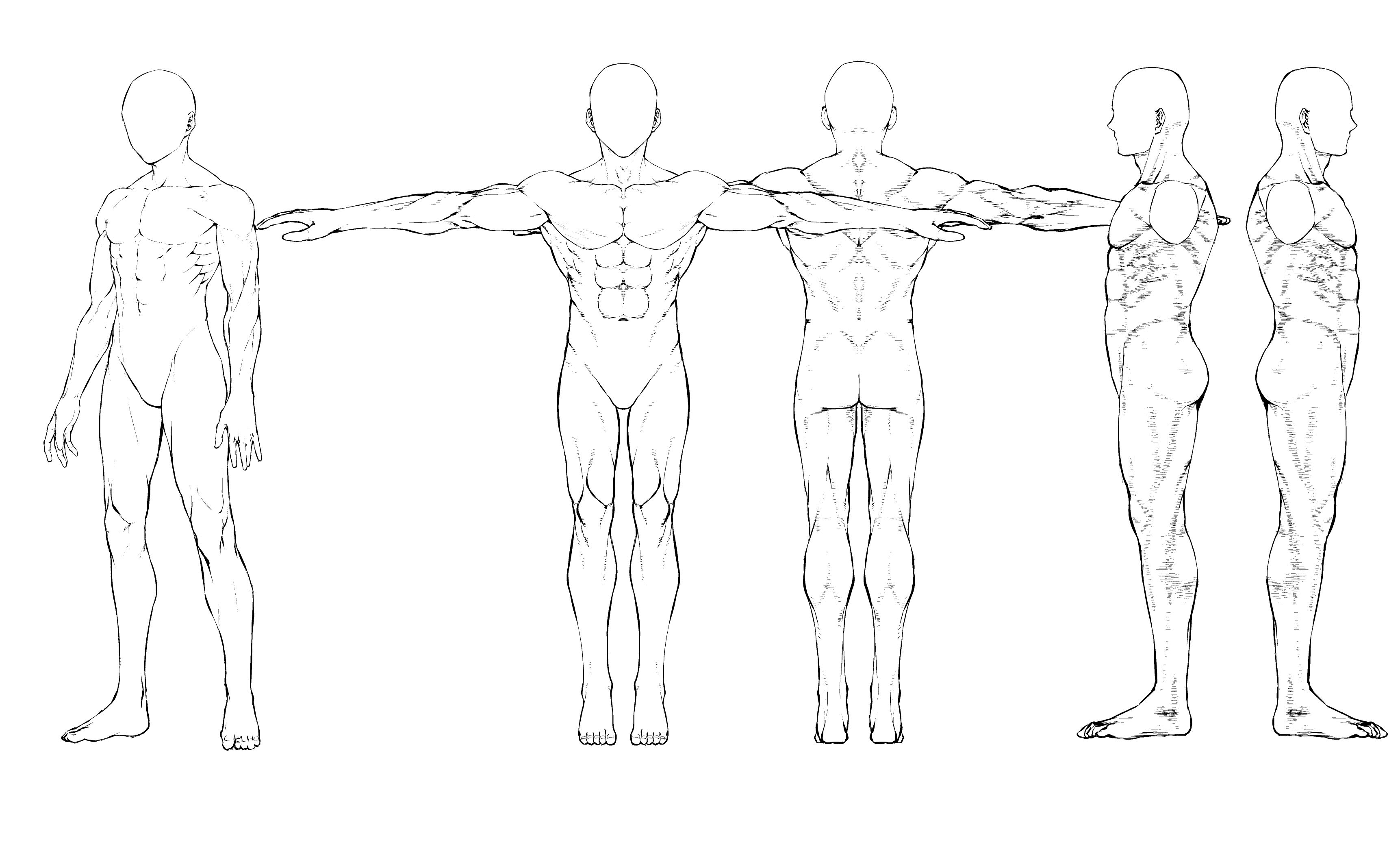 Three-figure base body (man) - CLIP STUDIO ASSETS