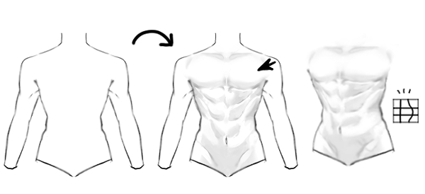 Muscle material Set - CLIP STUDIO ASSETS