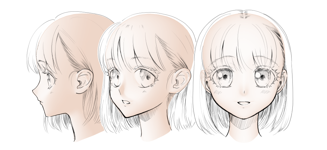 Cat-like cheek head - CLIP STUDIO ASSETS