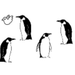 Bird Set Clip Studio Assets