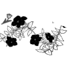 Plant Pattern Brush Set 2 Clip Studio Assets