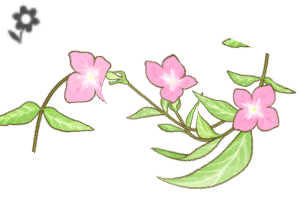 Color Floral Pattern Set 2 - CLIP STUDIO ASSETS