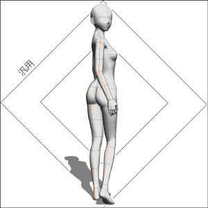 General Pose collection 3 30 species - CLIP STUDIO ASSETS