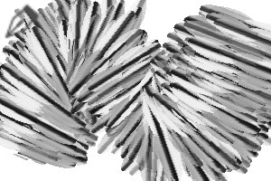 s10 exotic] brush set - CLIP STUDIO ASSETS