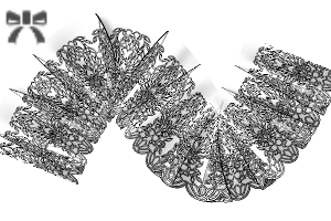Lace Brush Set 602 - CLIP STUDIO ASSETS