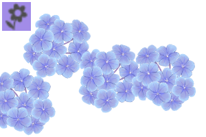 ꫛꫀꪝ✧‧˚flower clip❁⃘ 6x Non-Slip Girl/Women Plastic Flower Claw Hair Styling Clip 7x7cm