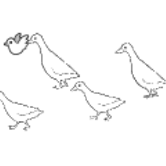 鳥セット Clip Studio Assets