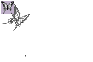 蝶のブラシセット Clip Studio Assets