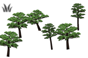 ぱぱっと木カラーブラシ Clip Studio Assets