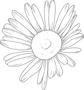 デイジーの花ブラシ Clip Studio Assets