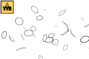 【無料限定】YYR手描きダストブラシ - CLIP STUDIO ASSETS