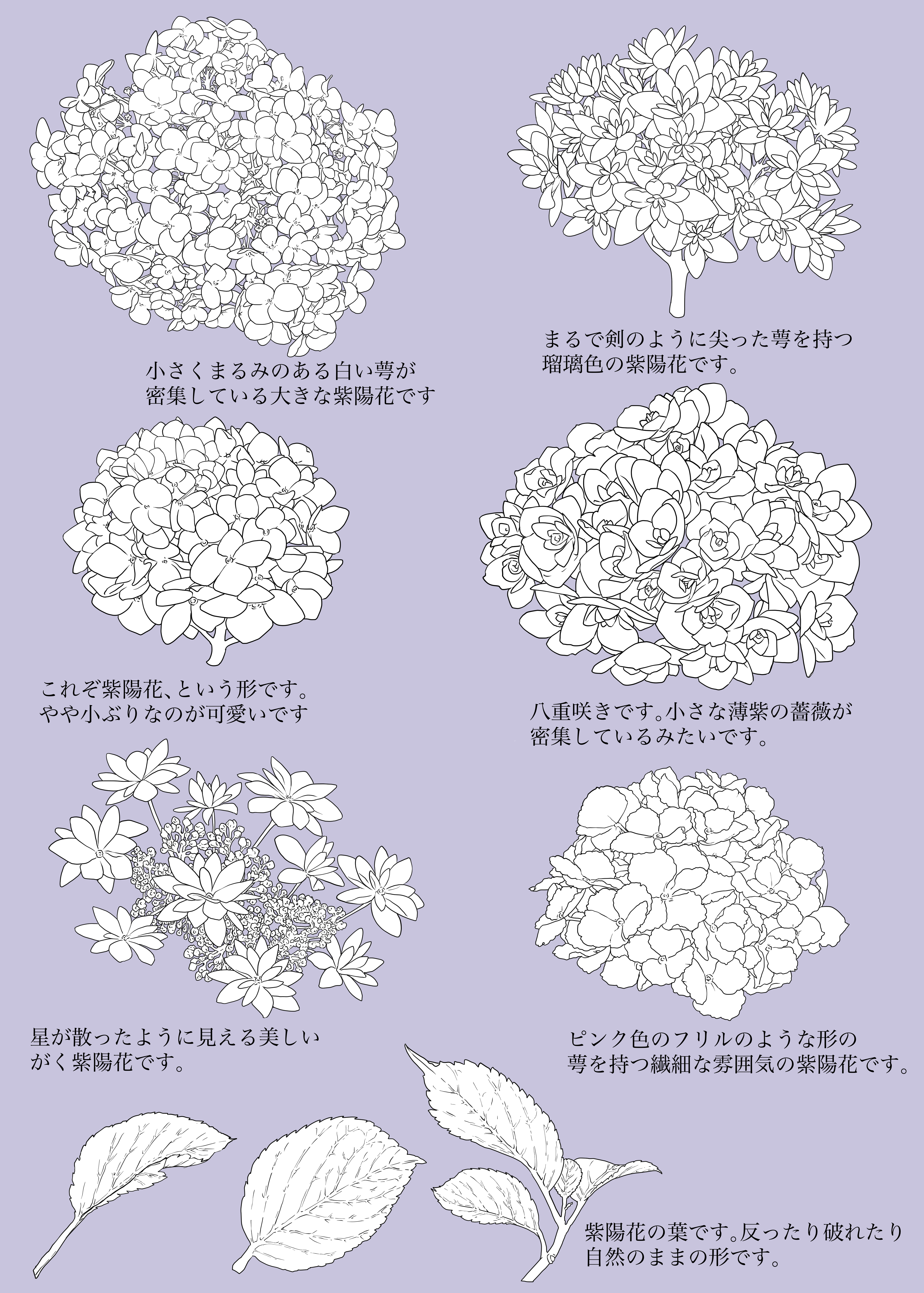 紫陽花素材集- CLIP STUDIO ASSETS